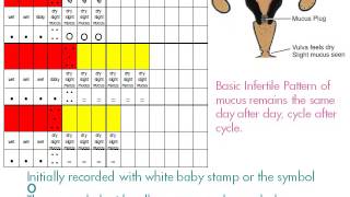 Audio-Visual Presentation of the Billings Ovulation Method™