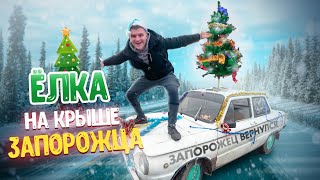 ЕЛКА НА КРЫШЕ ЗАПОРОЖЦА! ЗАПОРОЖЕЦ ВЕРНУЛСЯ! С Новым Годом 2020!?