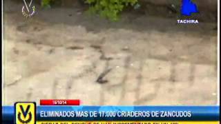 En Táchira eliminan más de 17mil criaderos de zancudos
