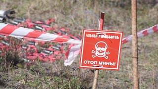 Как в Арцахе уничтожаются неразорвавшиеся кассетные боеприпасы и снаряды от «Града»