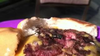 Fly lays eggs in my kids burger