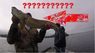 ШОК!!!Три ТРОФЕЙНЫЕ щуки за рыбалку.Как поймать щуку весной