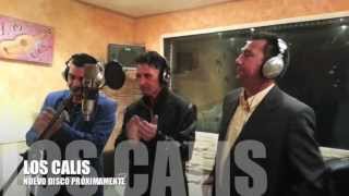 Los Calis - Nuevo disco próximamente (Video Promocional)