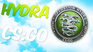 НОВАЯ ОПЕРАЦИЯ ГИДРА В CS:GO | НОВЫЙ КЕЙС HYDRA CASE (ОБНОВЛЕНИЕ КС:ГО)