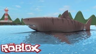 ESCAPE FROM MEGALODON ATTACK in SHARKBITE (Roblox)