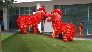 Lion Dance at Garden Plaza, Cyberjaya