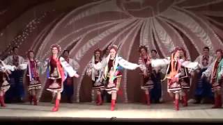 Украинский танец "Гопак". Танцевальный к-в. Киев.