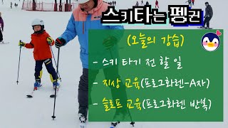스키 초급강습⛷ 스키 초급자의 모든 것!! (스키장비 착용부터 슬로프 교육까지) -스키초보강습, 성인과어린이 2:1 스키강습 ❄