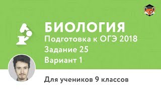 Биология | Подготовка к ОГЭ 2018 | Задание 25 | Вариант 1