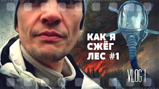 Художественная история «Как я сжёг лес», ч. 1