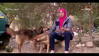 مساء dmc - محظية عبد المهيمن.. 15 عام من رعاية الحيوانات المشردة