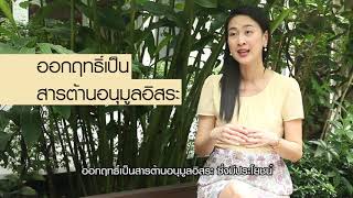 กินได้ กินดี ไม่มีอ้วน ตอน ข้าวขาว ข้าวกล้อง ข้าวไรซ์เบอรี | สารคดีสั้นให้ความรู้