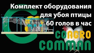 Линия убоя птицы 60 голов в час (500 голов в смену)