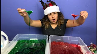 1 GALLON OF CHRISTMAS SLIME VS 1 GALLON OF CHRISTMAS SLIME - MAKING GIANT SLIME