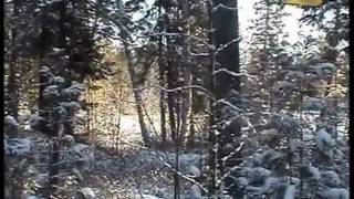 Фильм про охотника Александра Зубова (часть 3)