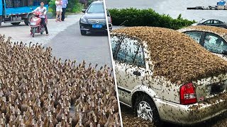 11 ВЕЩЕЙ, КОТОРЫЕ ВЫ УВИДИТЕ ВПЕРВЫЕ В ЖИЗНИ