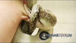 Snake Bytes TV - "So You Want To Know About Snakes?"