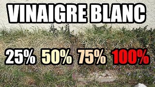 désherber au vinaigre blanc LIDL - Test à 25% 50% 75% 100% désherbant bio?