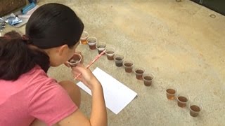 全国こども科学映像祭受賞作品　(96)H28年度第15回優秀作品賞中学生部門『すごいぞ！菌の力～身近な菌を使って川をきれいにする～』