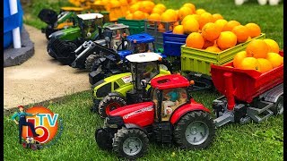 Learn Colors TRAKTOR BRUDER Case, Claas, Fendt, New Holland with Baby ORANGE