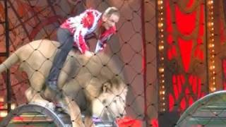 The unique circus tricks performed by the animals and artists amazed the Moscow public