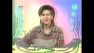 Хіт-парад "Територія А" (1997 рік)