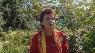 Обрезка садовых растений. Какие секаторы выбрать?. Сайт "Садовый мир"