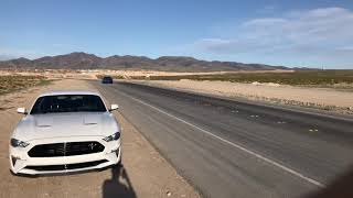 2019 Mustang EcoBoost Flyby (Active Exhaust)