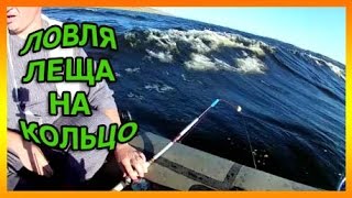 Ловля леща на кольцо.