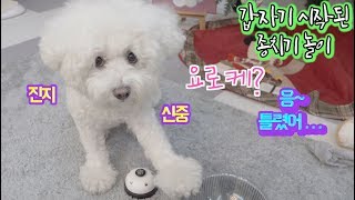 고요속에서 네 면봉터치가 느껴진거야☁️? / 종치기 함부로 시작하지 마라... 끝 없는 댕댕댕의 향연