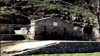 ΑΛΟΓΑ-ΓΙΩΡΓΑΛΙΔΙΚΑ-ΔΙΓΕΝΗΣ 3!!!...ΚΩΝ/ΝΟΣ ΑΠΟΣΤΟΛΟΠΟΥΛΟΣ