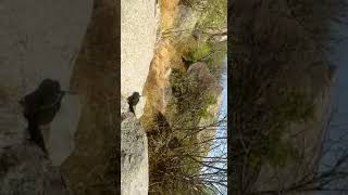 The residence of Gabbar Singh in film SHOLAY