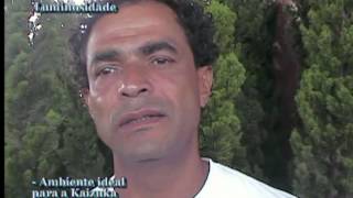 Kaizuka - como cuidar - Luminosidade