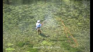 Jumping Roll, bird's view