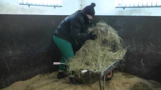 Stallrutiner elfstrands.se