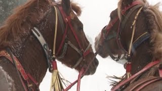 Шолоховский район глазами туристов