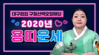 ★2020년 용띠 총운세★ 'xx운이 상승합니다' 대구점집 대구유명한점집 구월산백호할매당