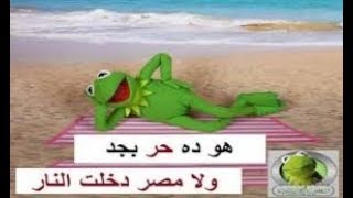الضفدع كيرميت هتضحك حتى تدمع عينك