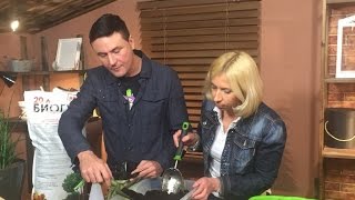 Дачные сезоны от 27 02 16