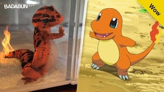 15 Pokémons que existen en la vida real. El #11 vive en tu casa