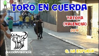 BOUS AL CARRER - YÁTOVA (V) 2018 - TORO EN CUERDA LA ESPUELA PEÑA LA BADANA 22-8-2018