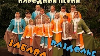 Ансамбль РАЗДОЛЬЕ Тутук Костя " В ТЕМНОМ ЛЕСЕ"