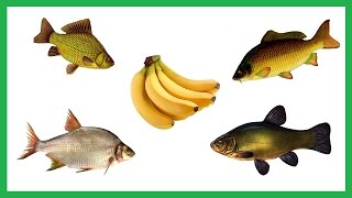 Уловистая наживка. Банановое тесто. Рыбалка. Fishing.