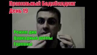 Режим дня. Обмен веществ. Циркадные ритмы. Гормоны. Анаболизм. Правильный Бодибилдинг 19.