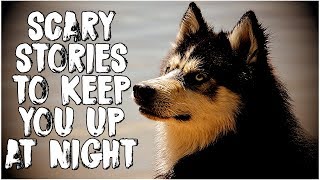 "I Don't Think My Dog Is Really A Dog" | 3 Scary Stories!