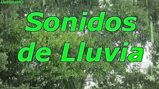 10 horas de lluvia para dormir y relajarse / sonidos de lluvia / dormirse