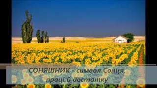 Народні символи України