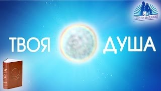 О Душе. Жизнь после смерти. Духовное освобождение. Вдвоём наедине. Выпуск  18