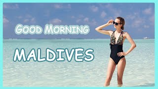 Утро на Мальдивах || Sun Island Resort