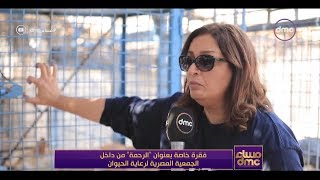 مساء dmc - لقاء خاص مع رئيسة الجمعية المصرية لرعاية الحيوان ا/ منى خليل مع إيمان الحصري